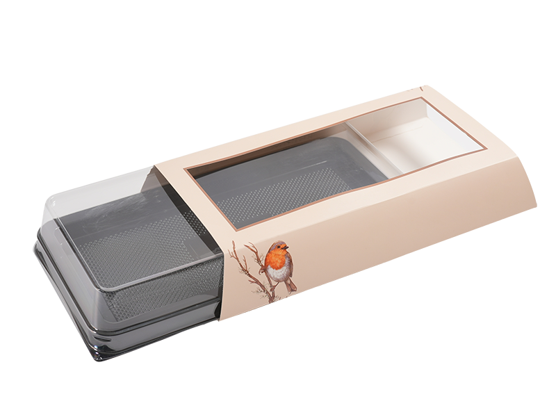 Rectangular plastic food packaging box/Gift Packaging